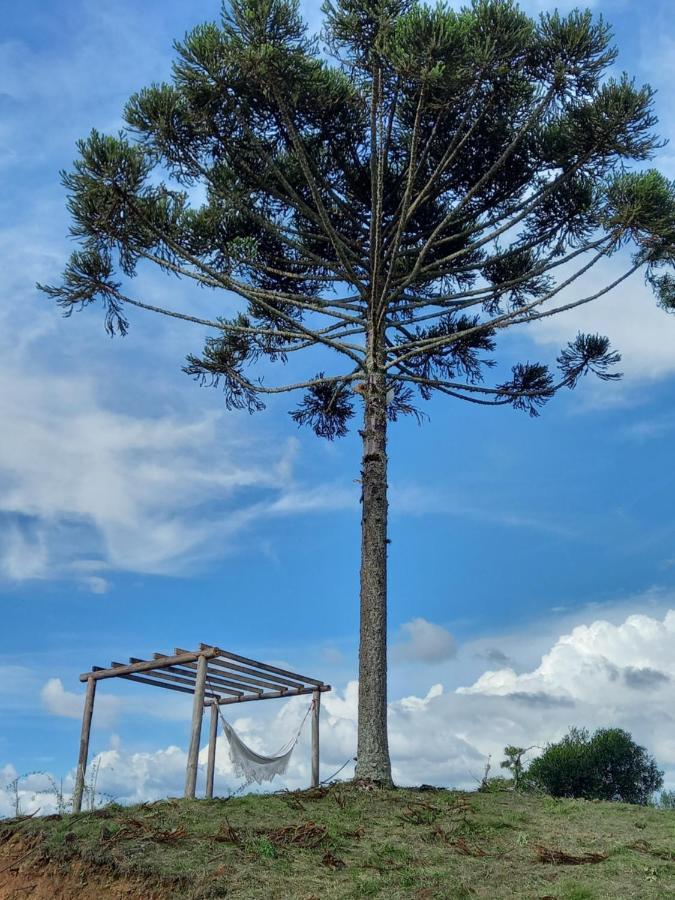 Celeiro Guarapuava, 4 Quartos, Paz E Tranquilidade Εξωτερικό φωτογραφία